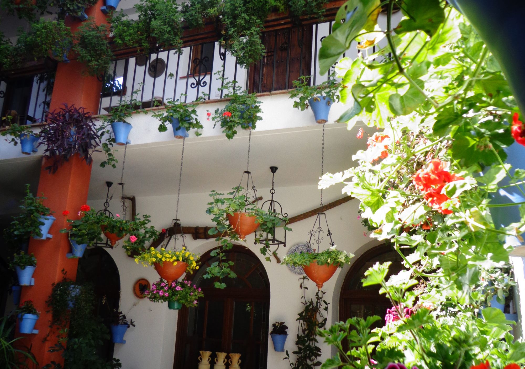 visitas a los Patios de Córdoba